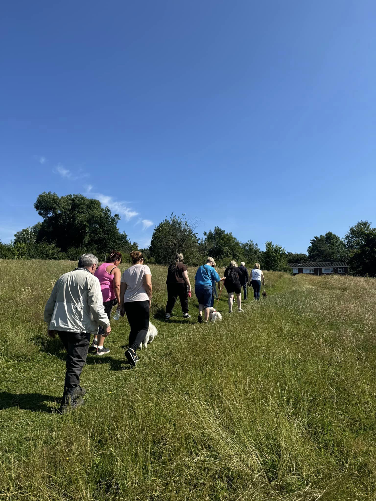 Back picture of group walking through a field on sunny day